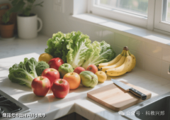 处置食物平安办理