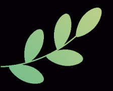 市场监管局将环绕