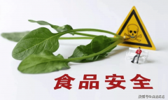 调味品企业研发天